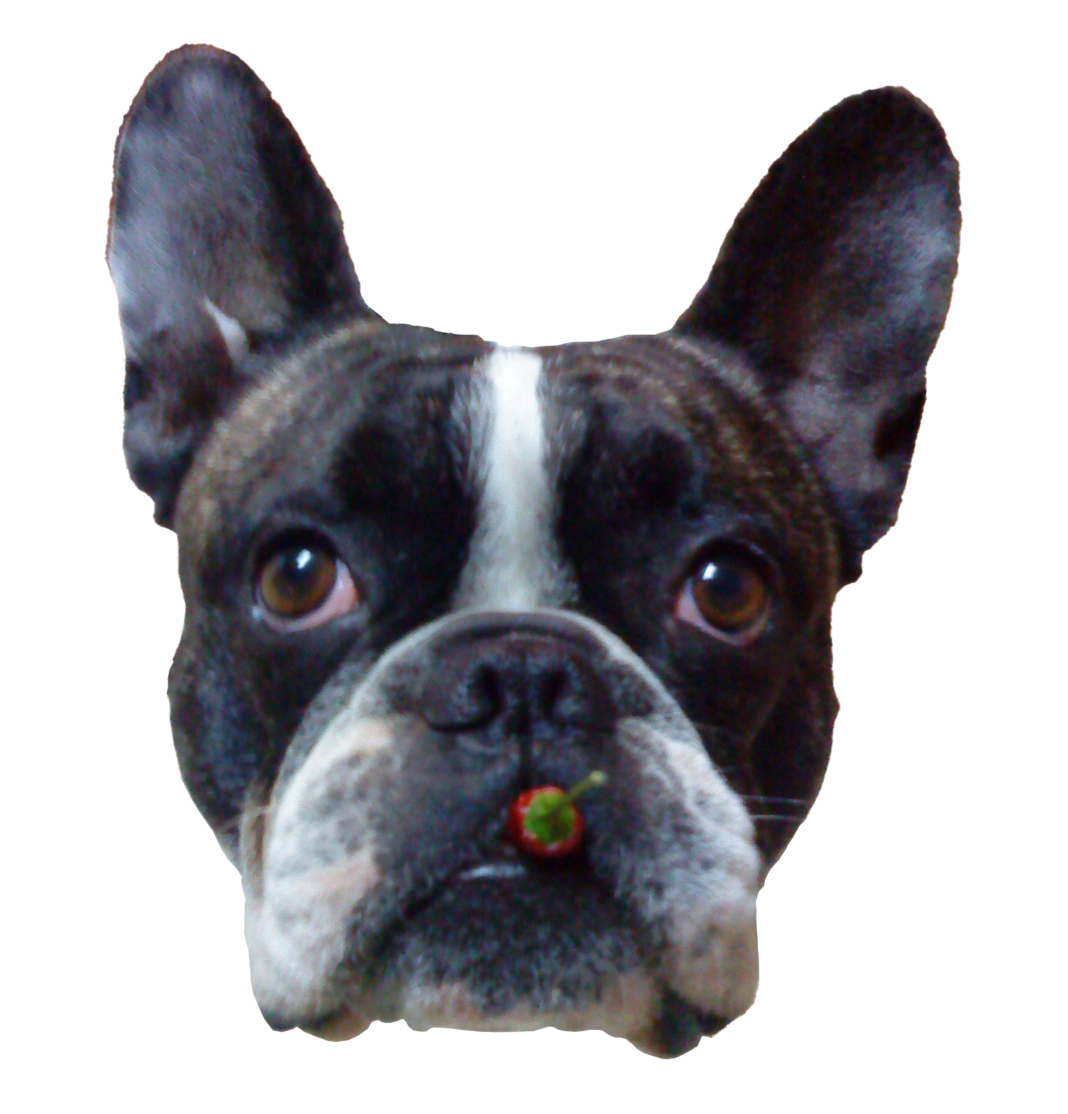 edit-sticker_v1